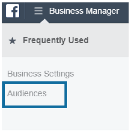 Click on Audiences