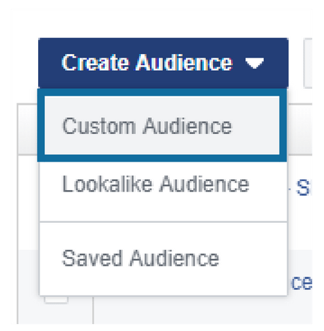 Select Custom Audience